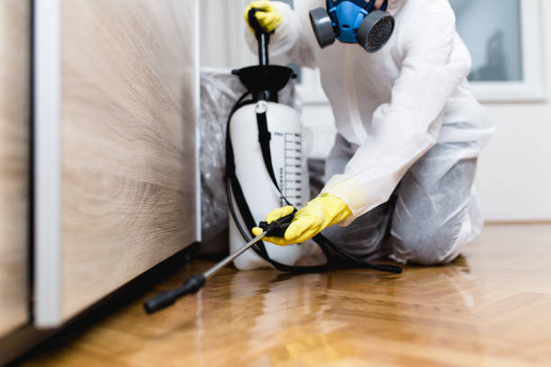 Wasp Removal Services in Ewa Beach, HI