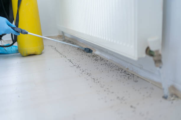 Best Best Pest Control Companies  in Ewa Beach, HI